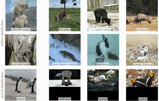 motion forecasting in the wild